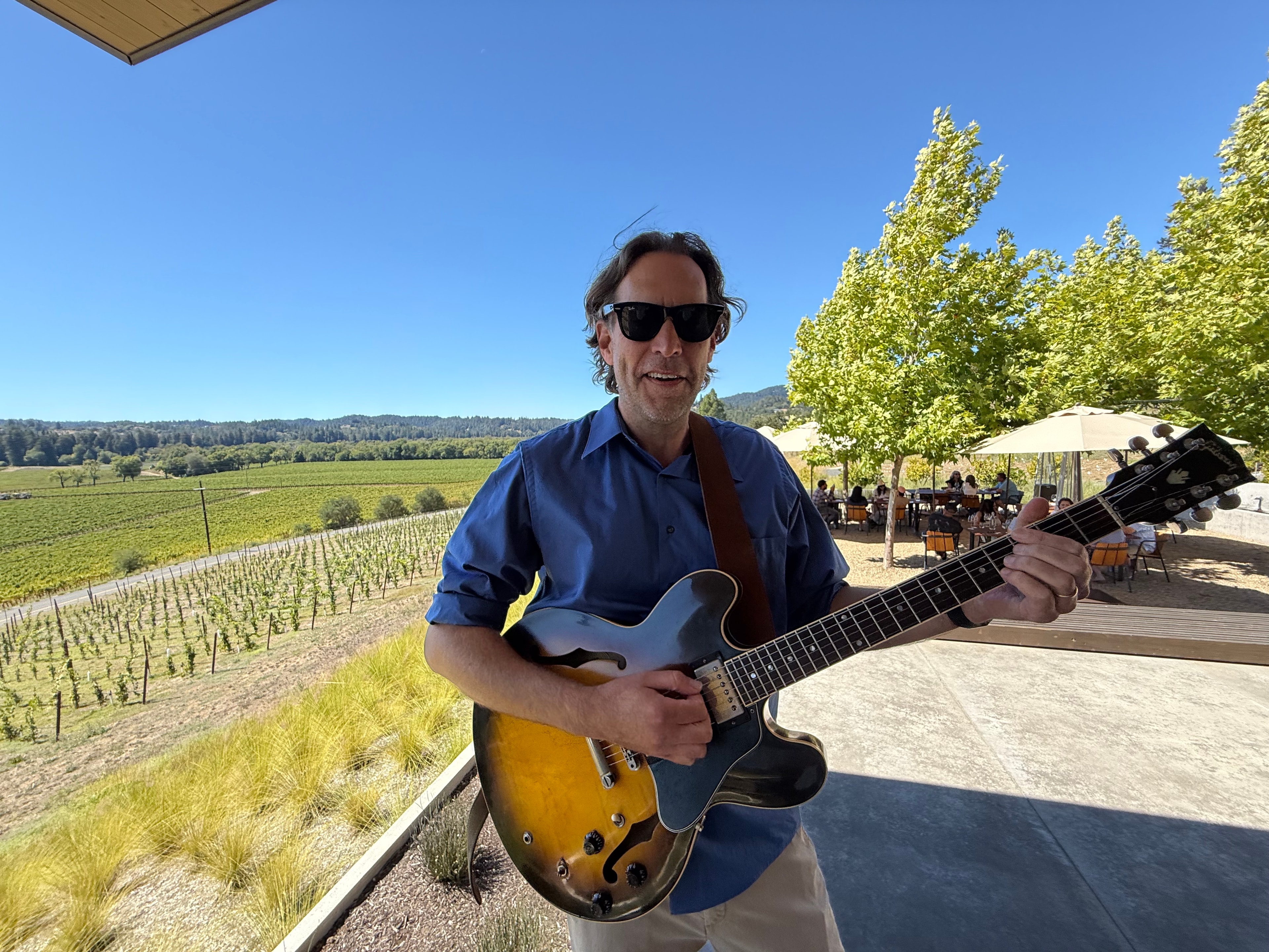 Guitarist performing at a vineyard gathering